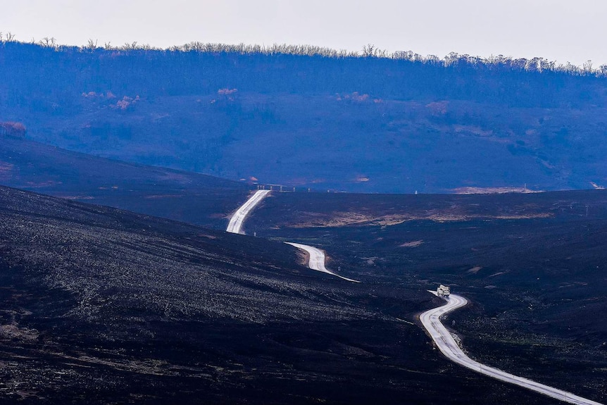 Wide shot of a winding road through a valley of bare, blackened ground, with burnt trees on the ridge line in the background.