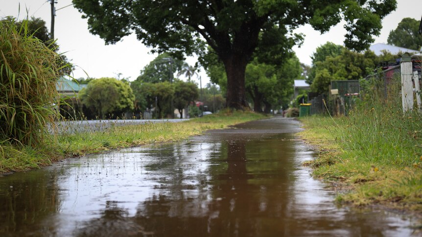 A puddle on a path with trees in background. 