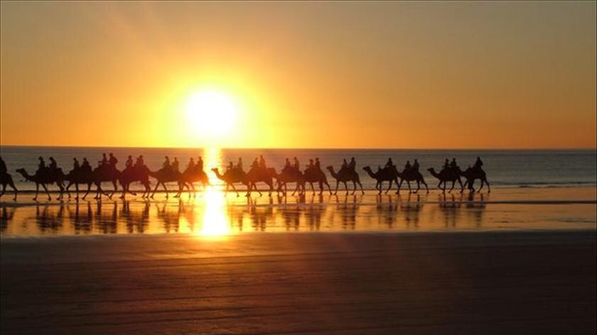 Sunset on Cable beach with camels