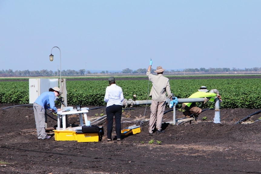 Researchers with testing equipment standing near an irrigation bore beside an irrigation channel in front of a cotton paddock
