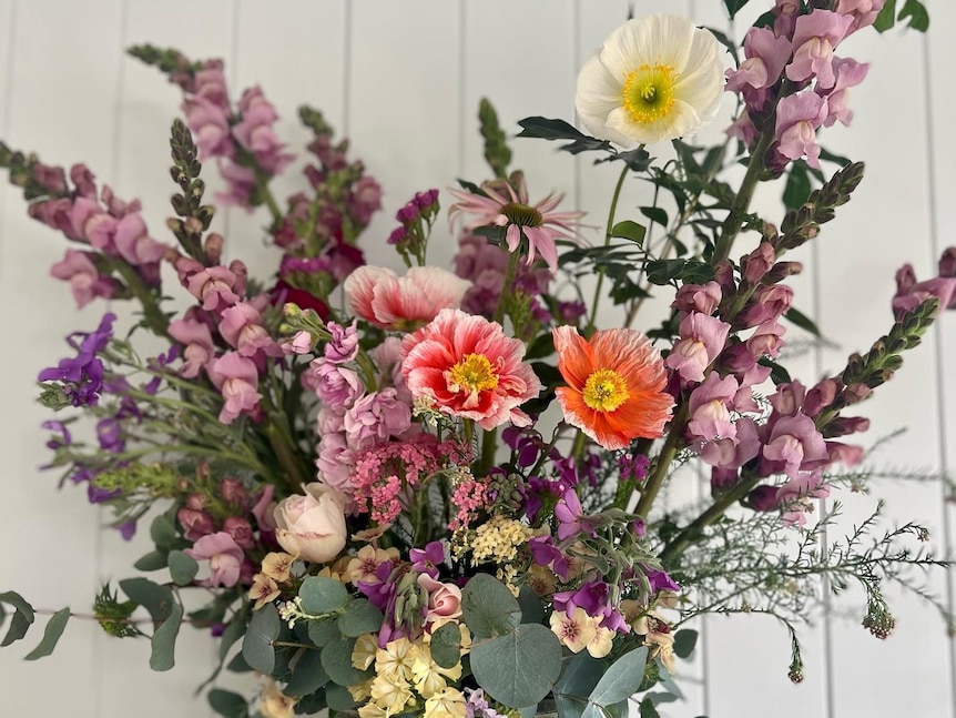 Poppies and snapdragons and stocks and daisies in a colourful arrangement.