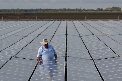 A person standing in the middle a large solar plant.
