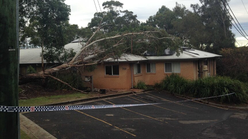 A large gum tree falls onto a child care centre in Lane Cove.