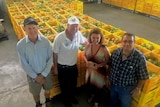 Mango growers in the packing shed with the federal assistant minister standing in front of hundreds of full mango crates