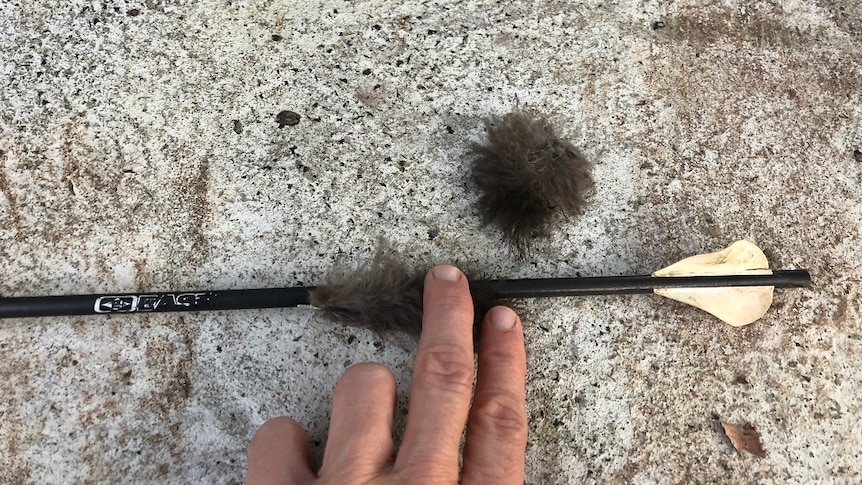 A man's hand holds an arrow that appears to have bird feathers stuck on it.