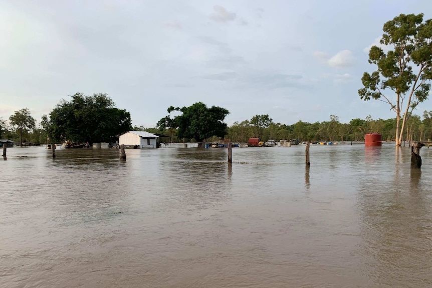 Fencing can be seen sticking out of floodwaters on Strathmay Station in Cape York.