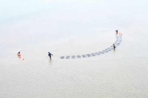 A birds eye view of three people walking in water, pulling lines of rectangles 