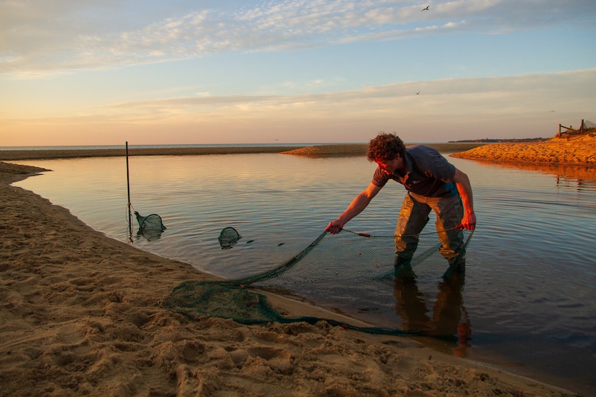 A person throws a net into shallow water at a river mouth,