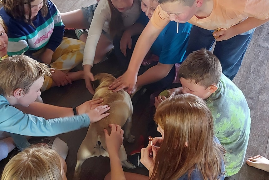 A group of children sit in a circle on the floor, patting a small pug dog.