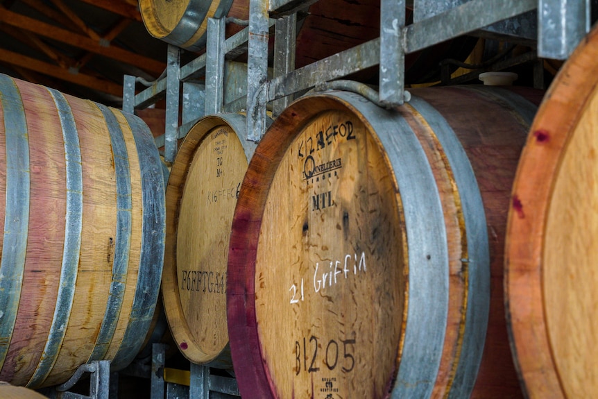 Wine barrels at winery stacked on shelving.