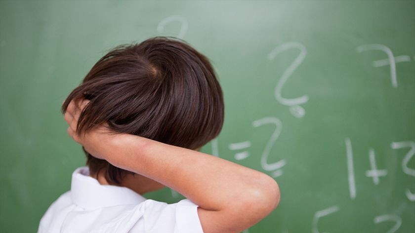 A child looking at a blackboard with his back to the camera