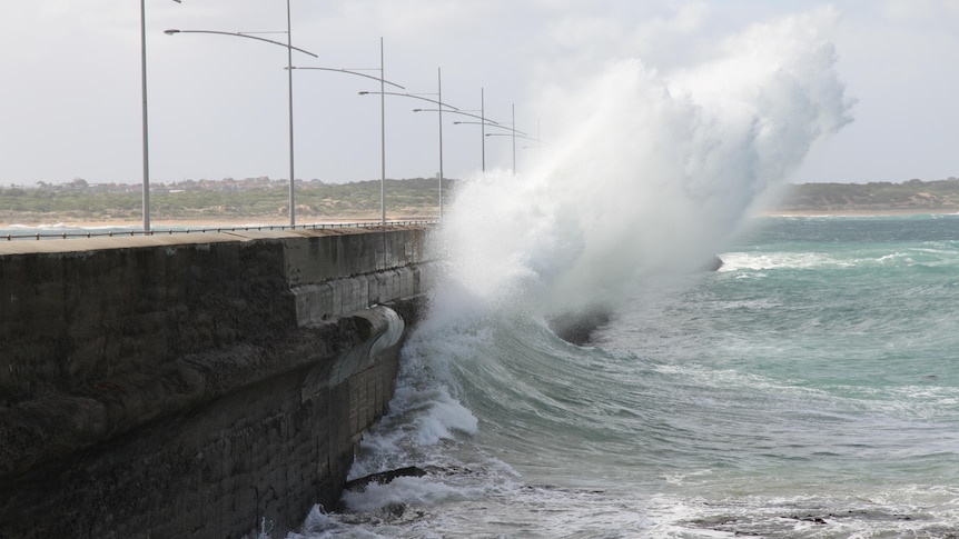 A large wave whooshes against a breakwater.