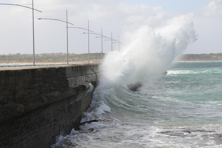 A large wave whooshes against a breakwater.
