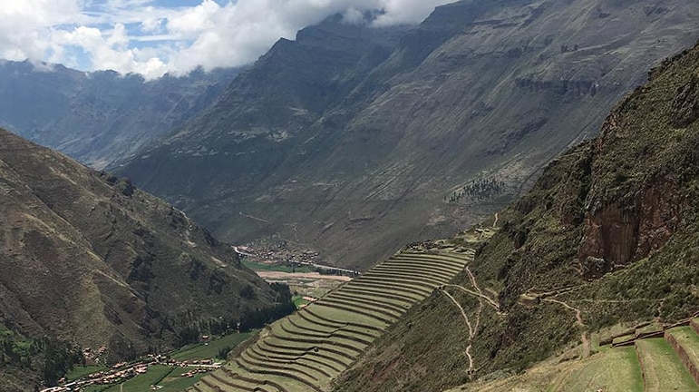 Terraced fields in the Andes