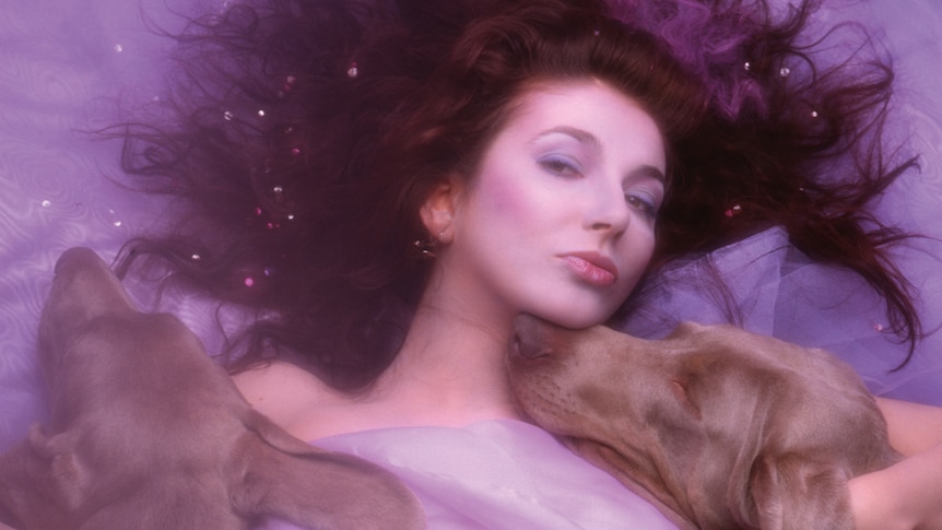 Kate Bush lies on the ground with two dogs and sparkles in her hair on the cover of Hounds Of Love