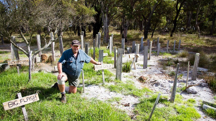 A man surrounded by headstones kneels on the ground with bush in the background.