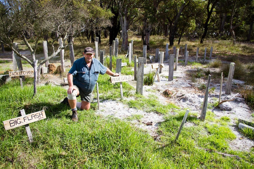 A man surrounded by headstones kneels on the ground with bush in the background.