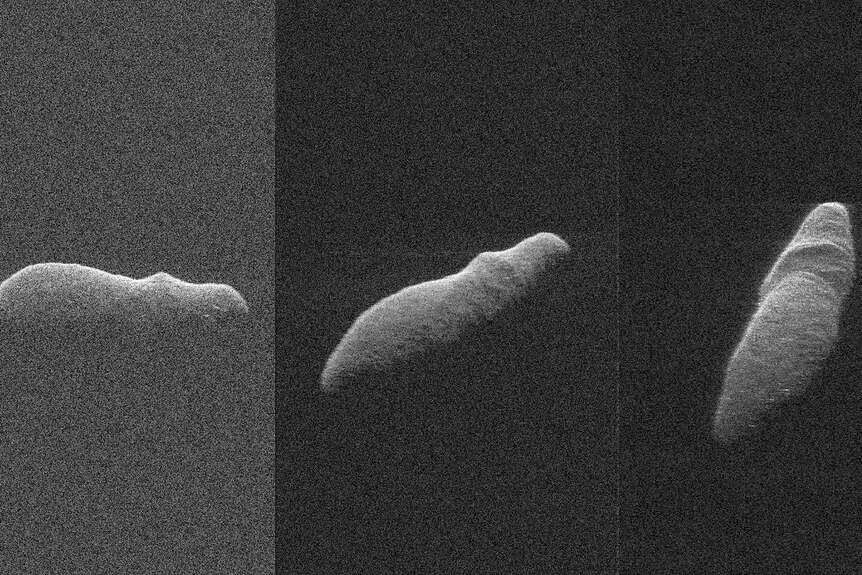Three grainy black and white images show an asteroid with ridges that look like a hippo's back.