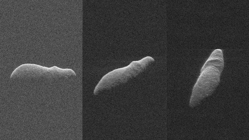 Three grainy black and white images show an asteroid with ridges that look like a hippo's back.