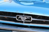 The front of a Ford Mustang.