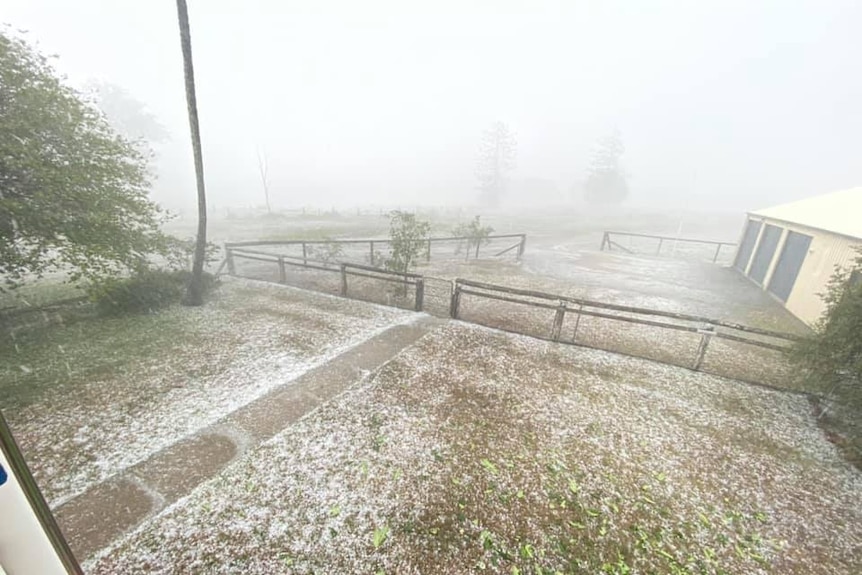 Hail mimics snow on the ground in the highlands near gympie.