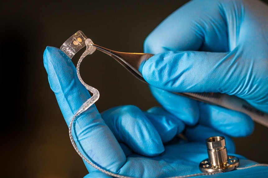 Bionic Eye electrodes