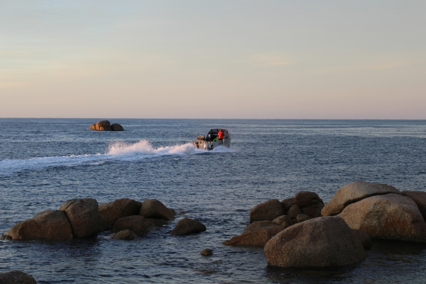 A boat drives away from shore at sunrise.