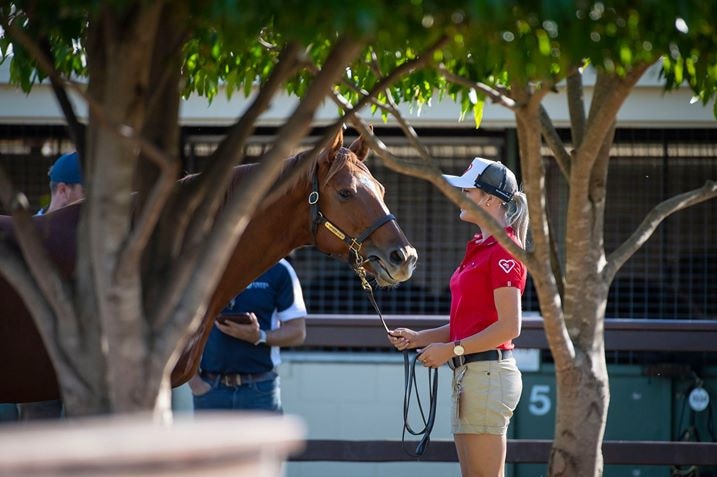 Magic Millions mares