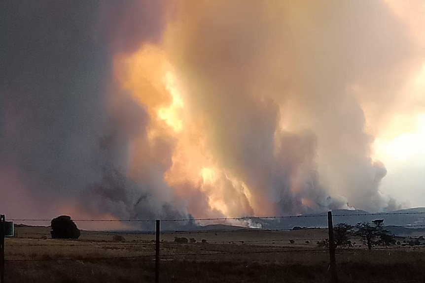 Fire and smoke rises on the horizon near Braidwood.