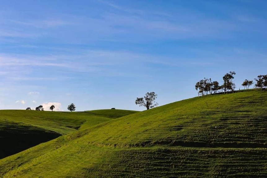 Rolling green hills on a stunning day day in the country.