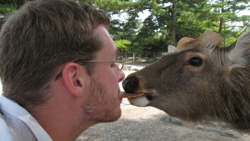 A man feeds a deer in Nara Park from his mouth.