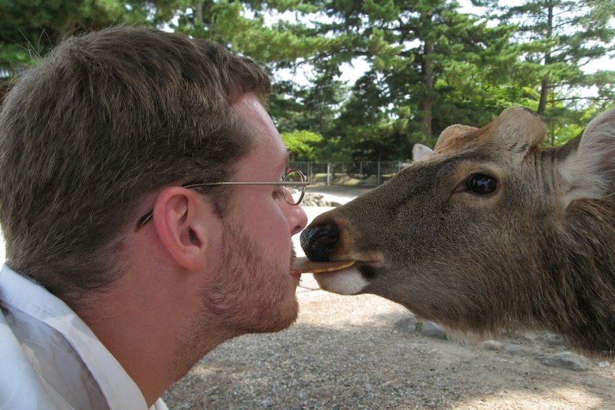 A man feeds a deer in Nara Park from his mouth.