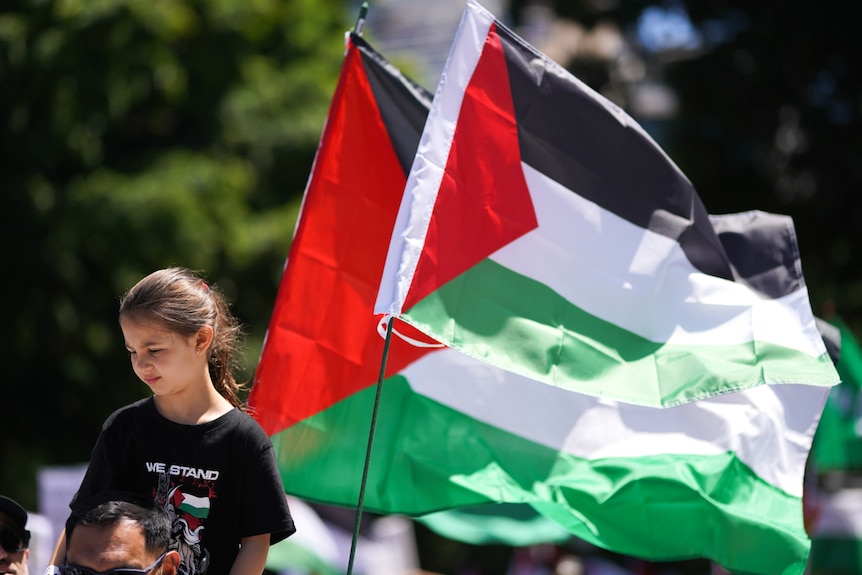 a young girl holds a palestinian flag at a pro-palestinian rally in sydney saturday november 19