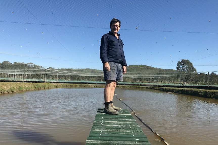 Bill Keast standing at the end of a jetty in his dam.