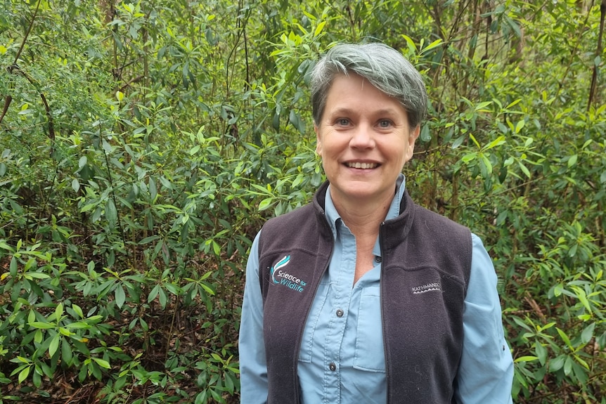 A women standing in front of some bushes 