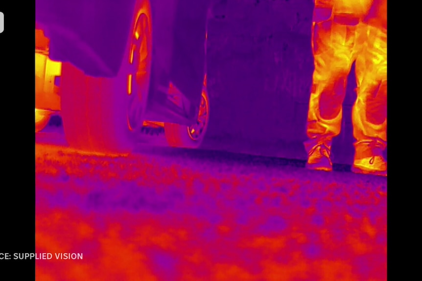 Image from a thermal camera that represents body heat as different colours