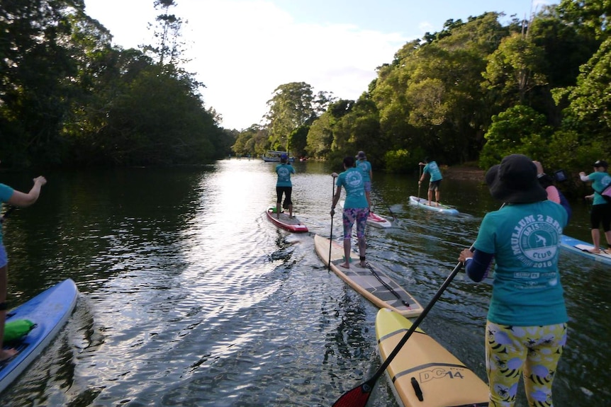 People in t-shirts stand on paddleboards on river
