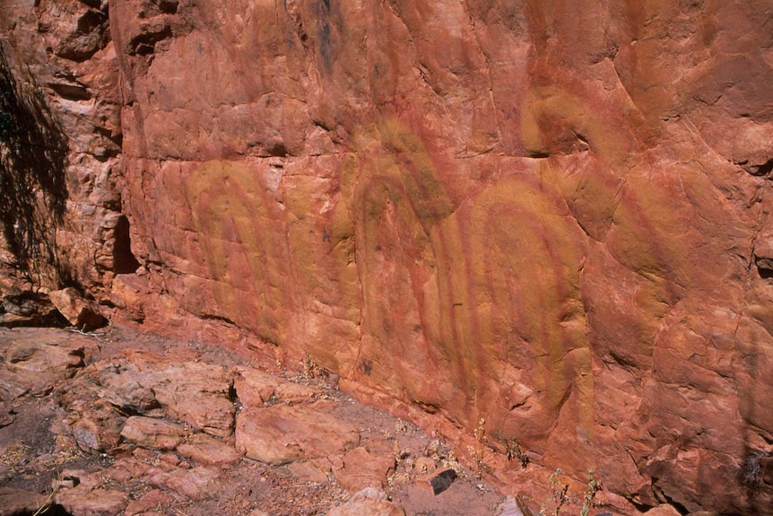 A rock drawing of a rainbow serpent.