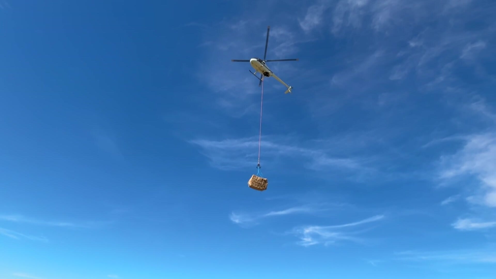 Fodder drops have begun in parts of north-western Queensland - ABC News