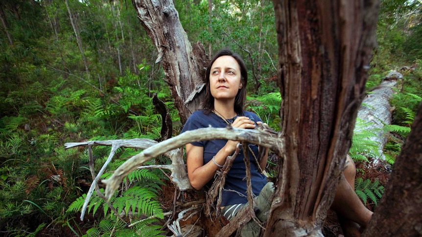 A woman sits in an upturned tree, surrounded by forest