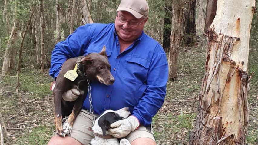 Man in blue top holds his brown pet dog in his arm and has a second black and white dog between his legs.