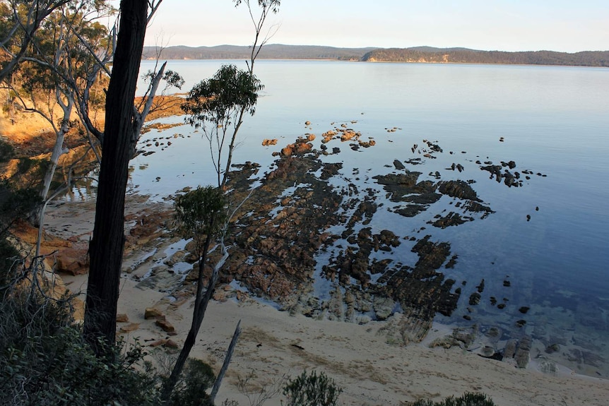 Looking south from the newly opened first stage of the Bundian Way across Twofold Bay towards Bilgalera (Fisheries Beach).