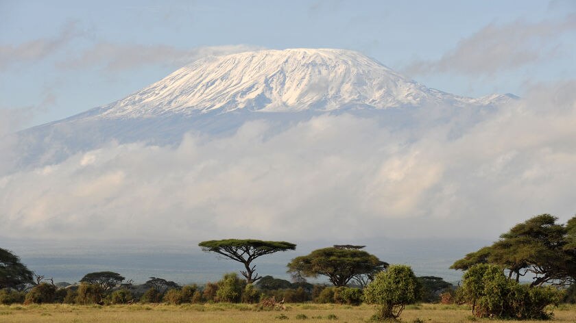 It will be a new record if all eight visually-impaired climbers make it to the top of Mount Kilimanjaro.
