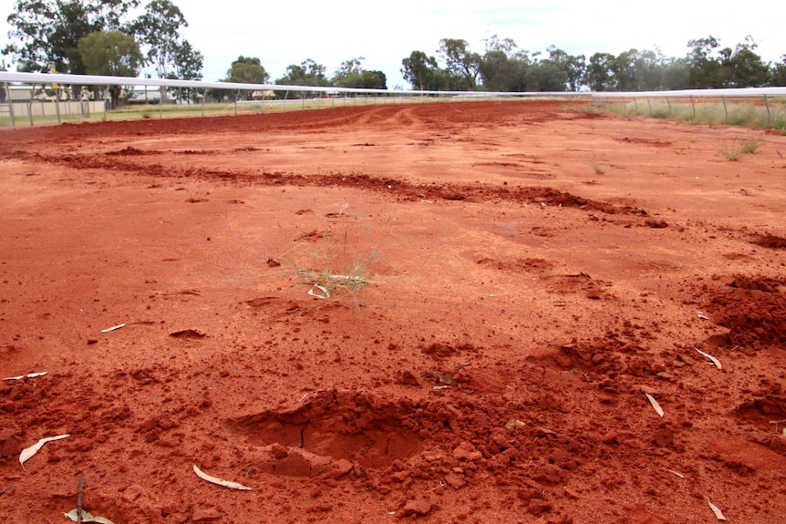 holes and tyre marks in red dirt. 