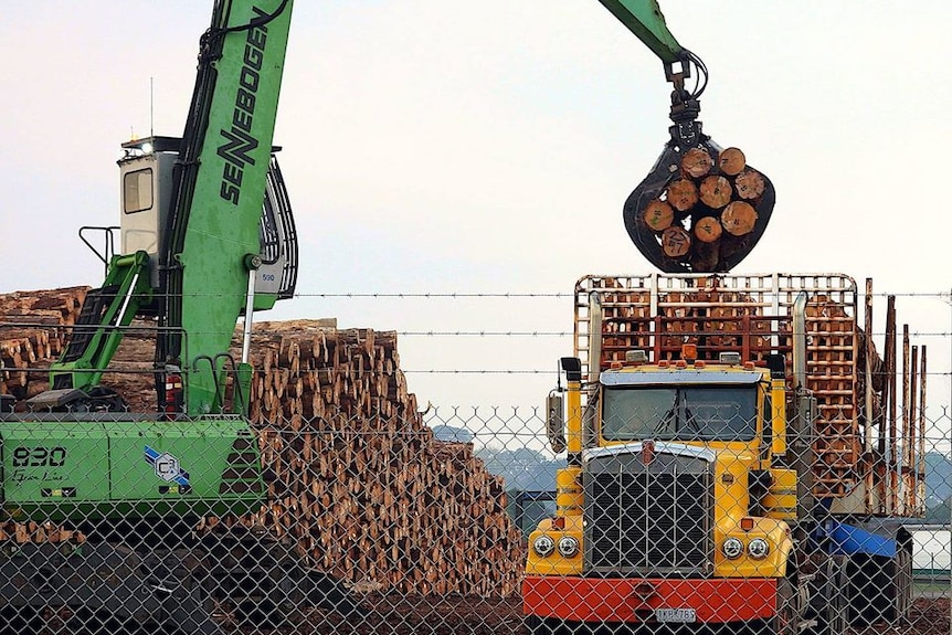 Logs and a truck at an export port