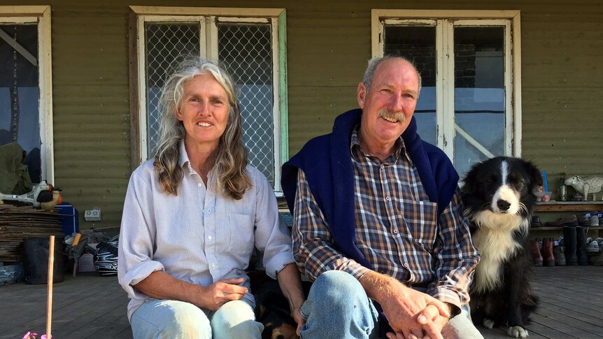 Man and woman dressed in jeans and checked shirt sit on front verandah of farm house flanked by two working dogs