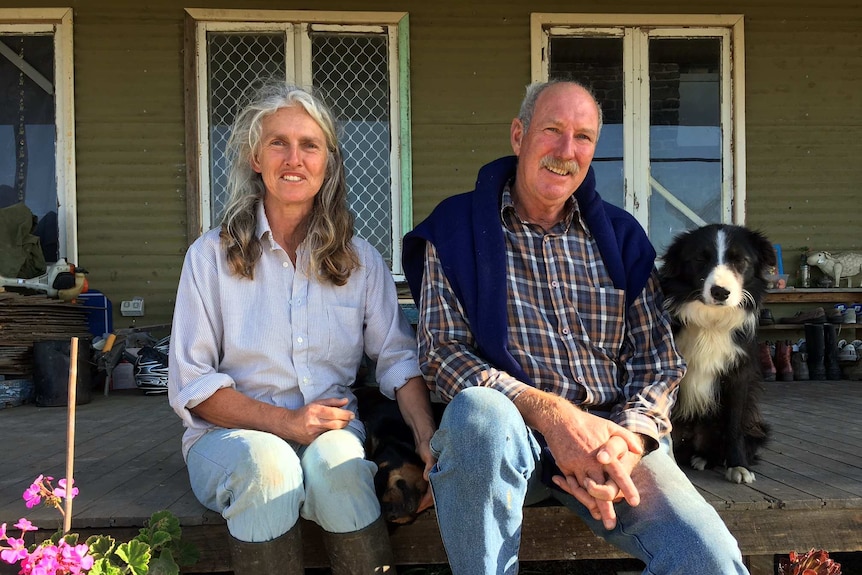 Man and woman dressed in jeans and checked shirt sit on front verandah of farm house flanked by two working dogs