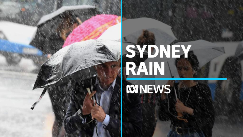 Sydney Due For A Month's Worth Of Rain In Five Days - ABC News