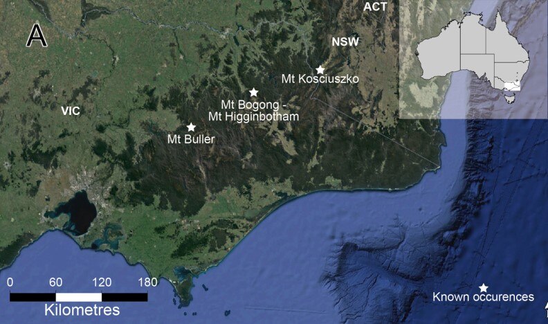 A map showing the three locations of the possum in the Victorian and NSW highlands.