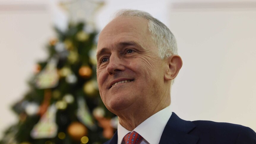 Prime Minister Malcolm Turnbull stands in front of the giving tree in his office.